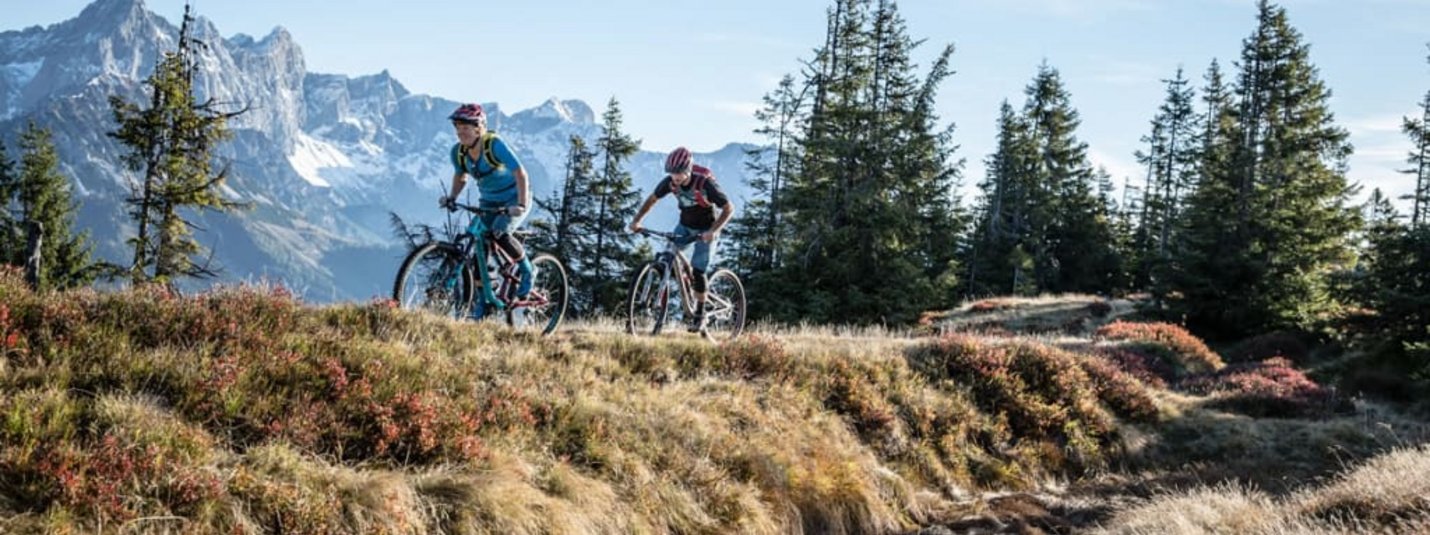 Stoneman 1 - Gold Tour Twee mountainbikers rijden op een pad met dennenbomen en bergen op de achtergrond
