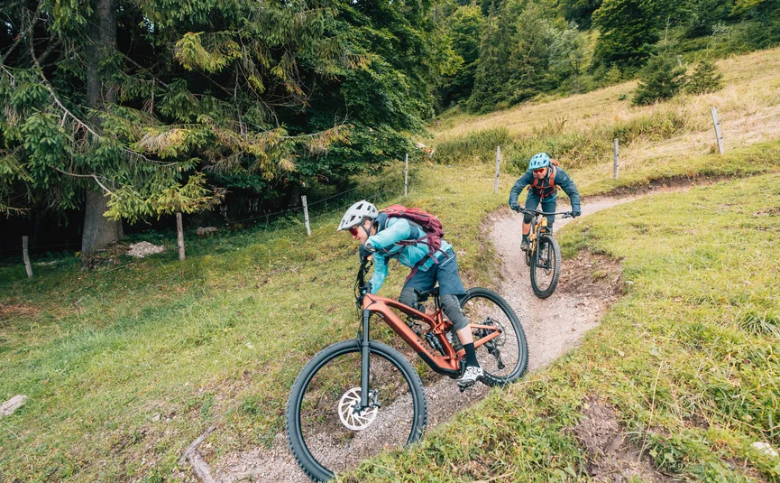 Zwei Mountainbiker fahren auf einem schmalen Waldweg bergab