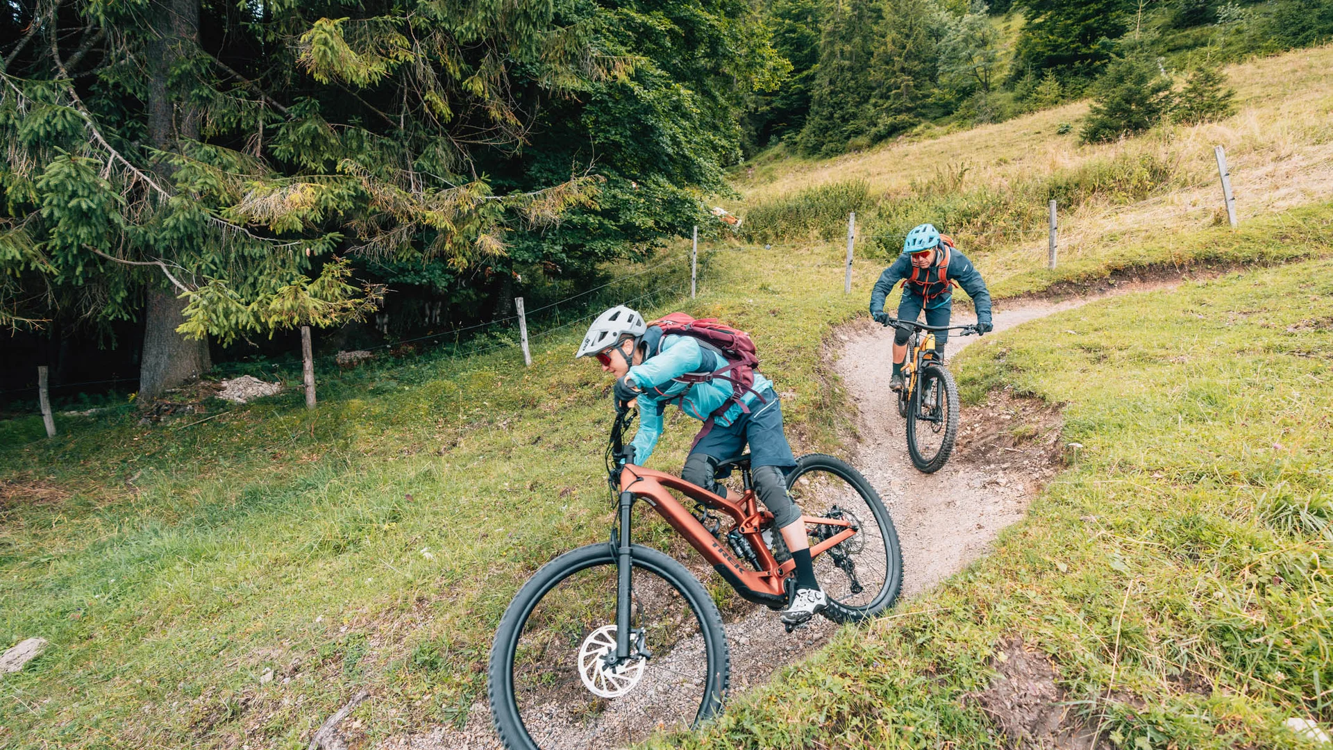 Zwei Mountainbiker fahren auf einem schmalen Waldweg bergab