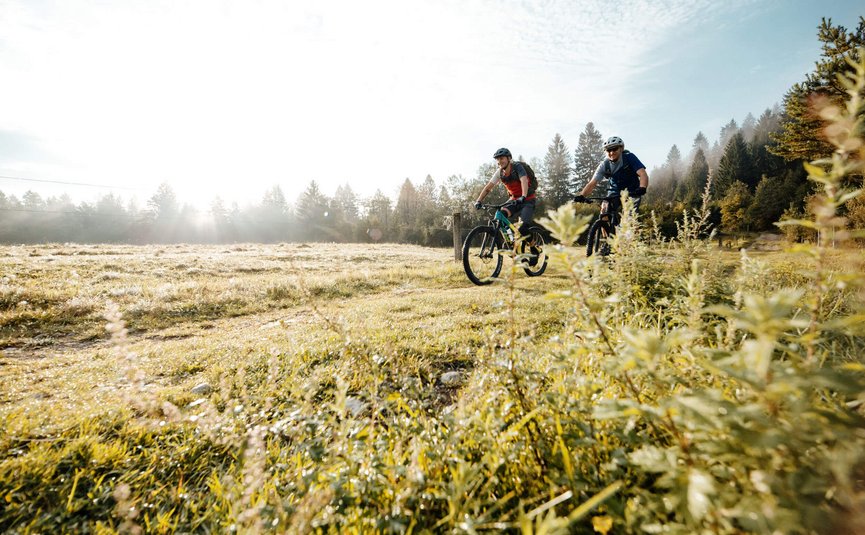 Mountain bike holidays in Bled and the surrounding area (Gorenjska)