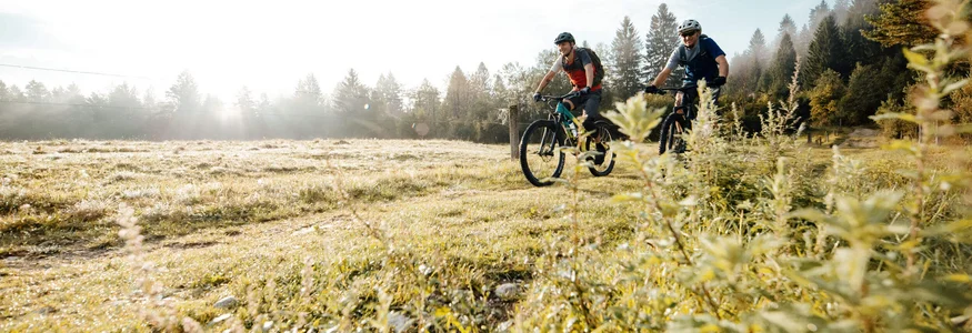 Zwei Männer fahren Mountainbike auf Waldweg bei Sonnenaufgang