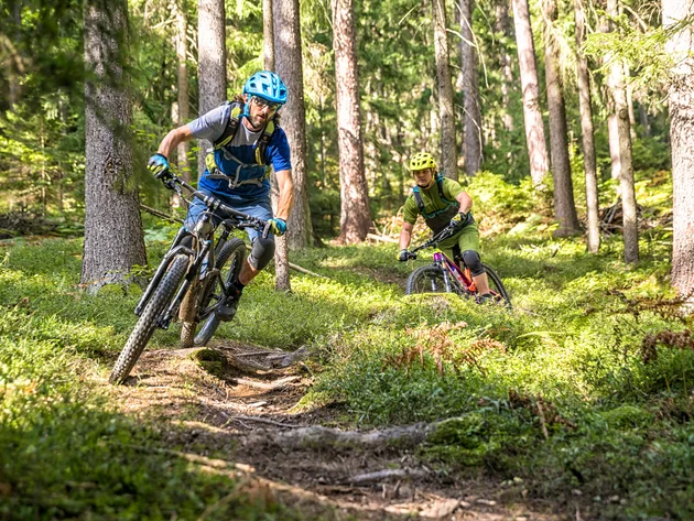 Zwei Mountainbiker fahren auf einem Waldweg durch den Wald
