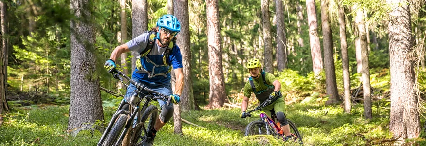 Two mountain bikers riding on a forest trail through the woods
