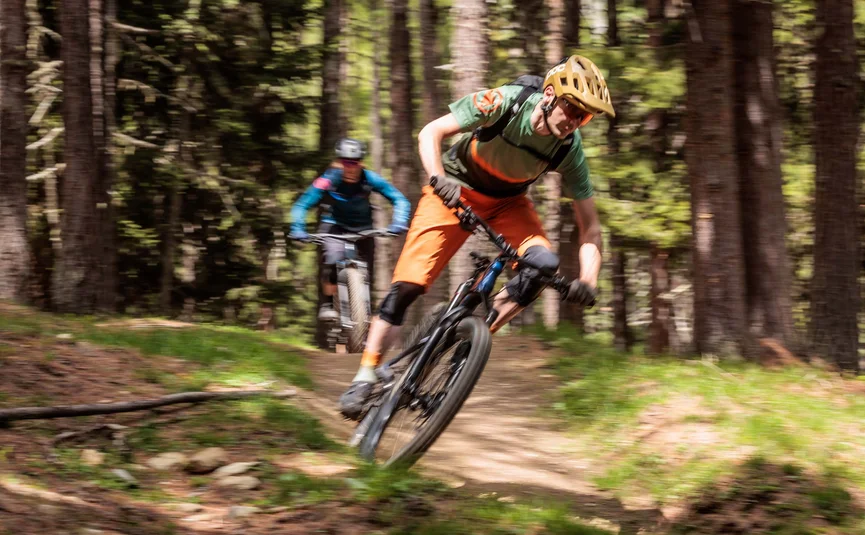 Zwei Mountainbiker beim Fahren auf einem Waldweg