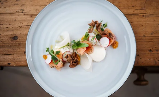 Ski, Gourmet & Dorfsilvester Gourmetgerecht met roze vis, radijsjes, kruiden en krokante garnituur op een licht bord