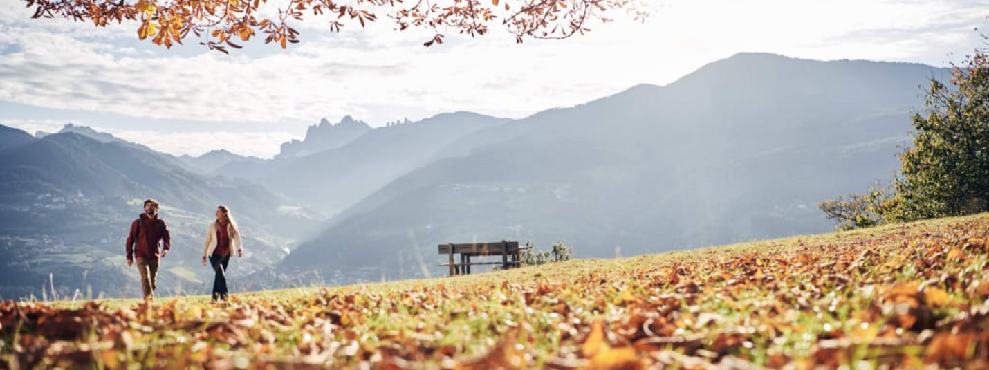 Two people hiking on an autumn meadow with mountains in the background