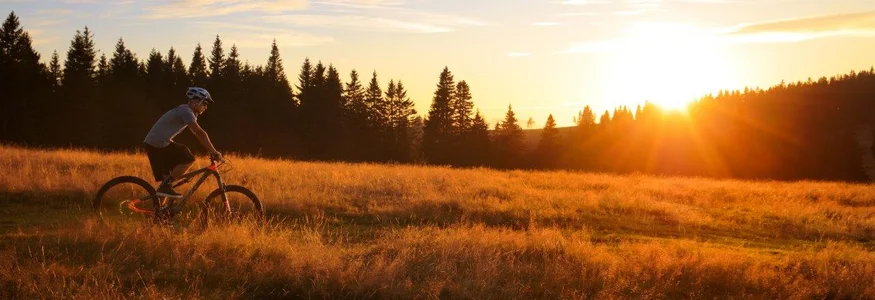 Fietser op veld bij zonsondergang met bos op de achtergrond