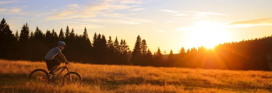 Fahrradfahrer auf Feld bei Sonnenuntergang mit Wald im Hintergrund