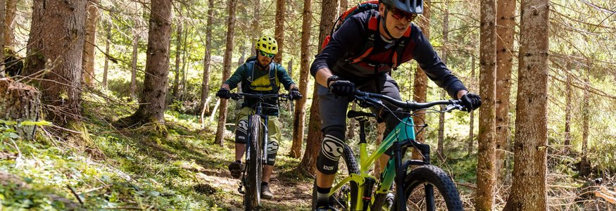 Die besten Touren & Trails der Alpen © David Karg Zwei Mountainbiker fahren auf einem bewaldeten Pfad