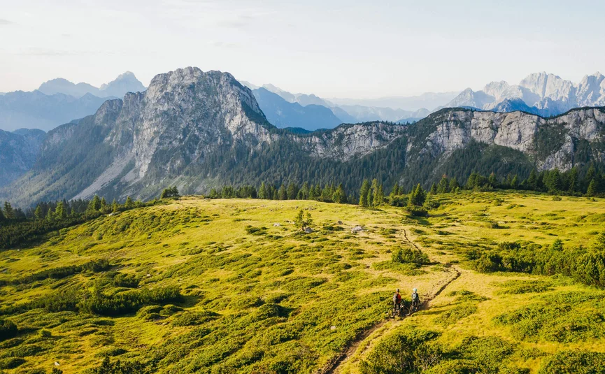 Twee fietsers op een pad in de Alpen met bergen en groen gras