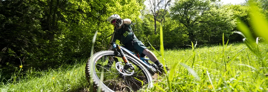 Mountainbiker fährt im Wald über eine Wurzel auf einem Trail
