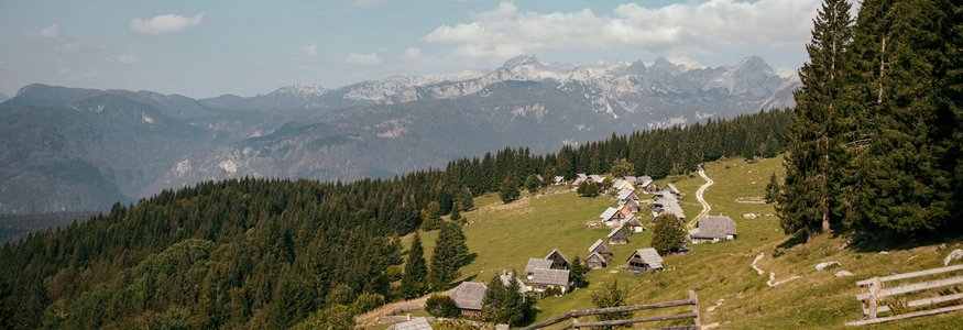 Bergdorf in grüner Landschaft mit Tannen und Bergen im Hintergrund