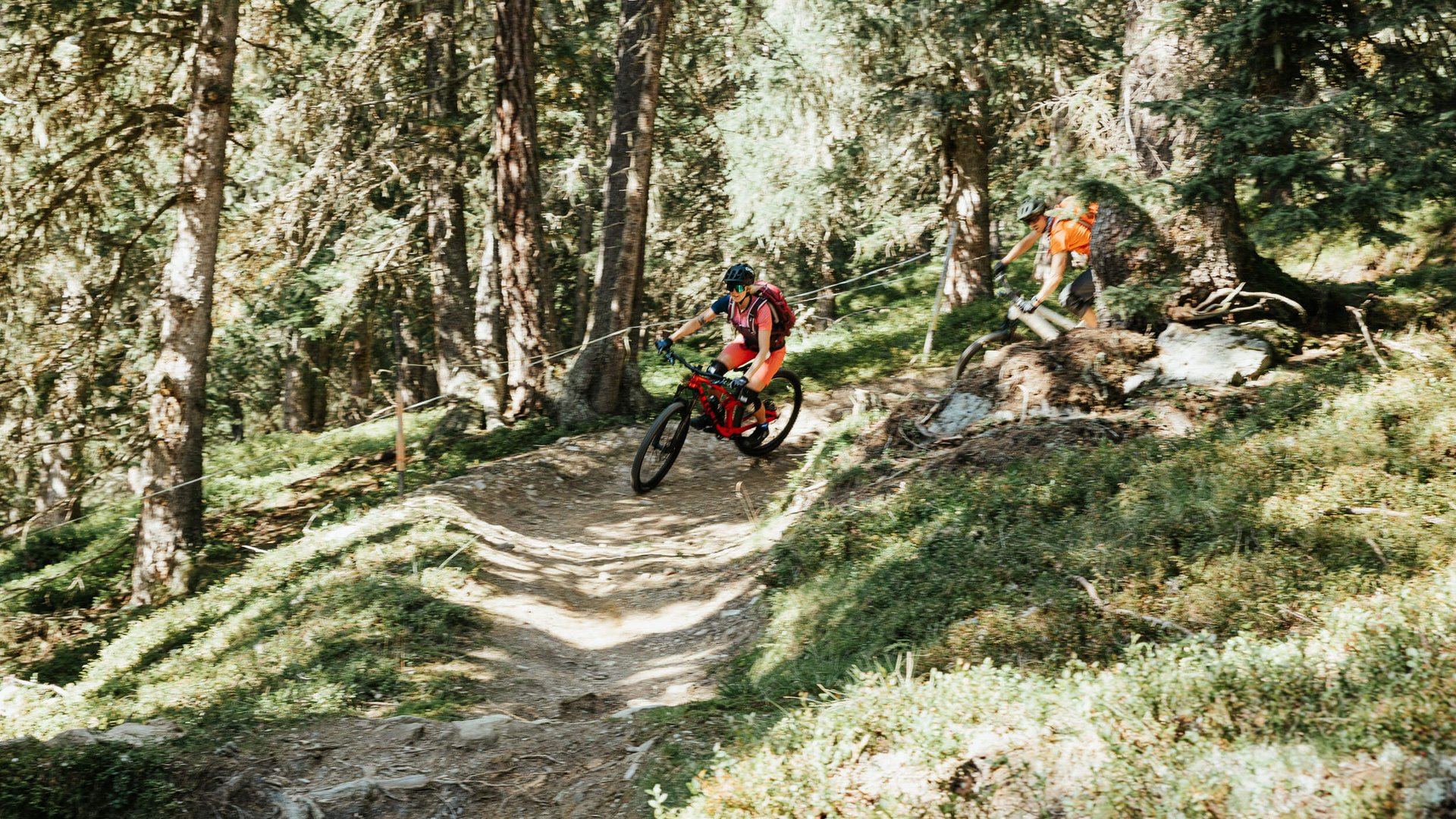 Zwei Mountainbiker fahren auf bewaldetem Trail bergab