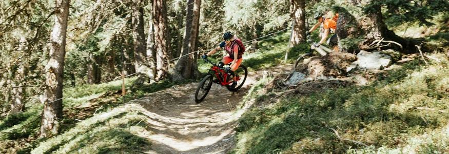 Zwei Mountainbiker fahren auf bewaldetem Trail bergab