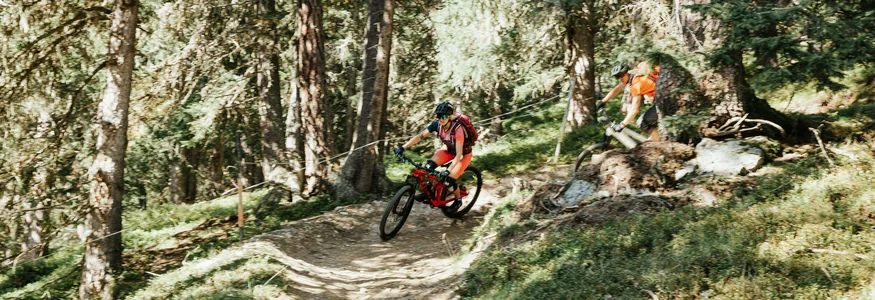 Twee mountainbikers rijden bergaf op een bosrijk pad