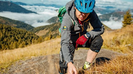 Mann mit Helm und Handschuhen untersucht Pflanzen auf Bergwanderweg