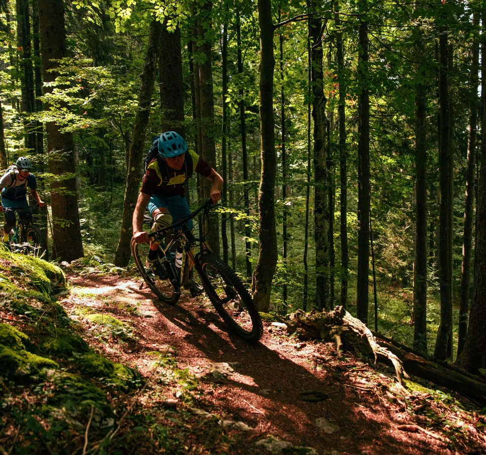 Zwei Mountainbiker fahren auf einem schmalen Waldpfad im Sonnenschein