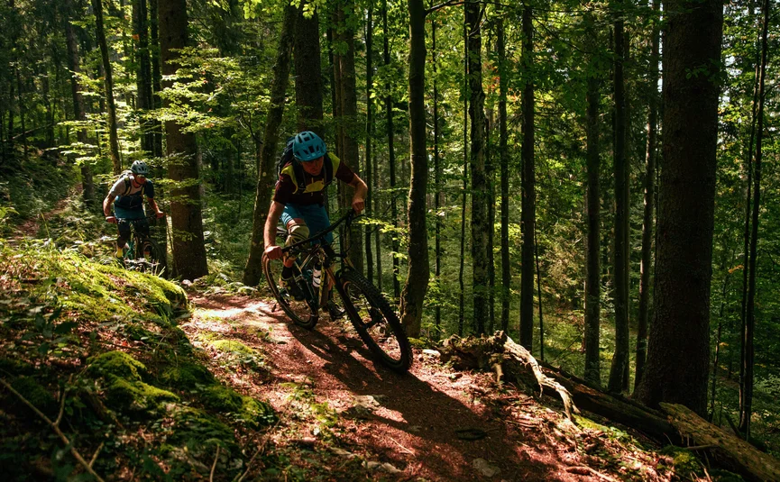 Zwei Mountainbiker fahren auf einem schmalen Waldpfad im Sonnenschein