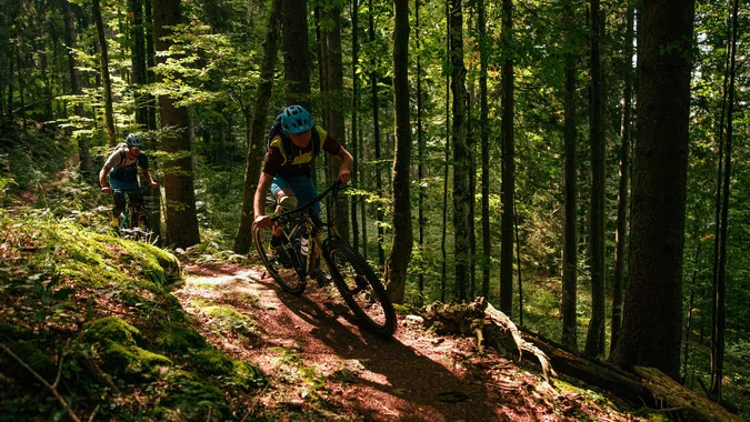 Zwei Mountainbiker fahren auf einem schmalen Waldpfad im Sonnenschein