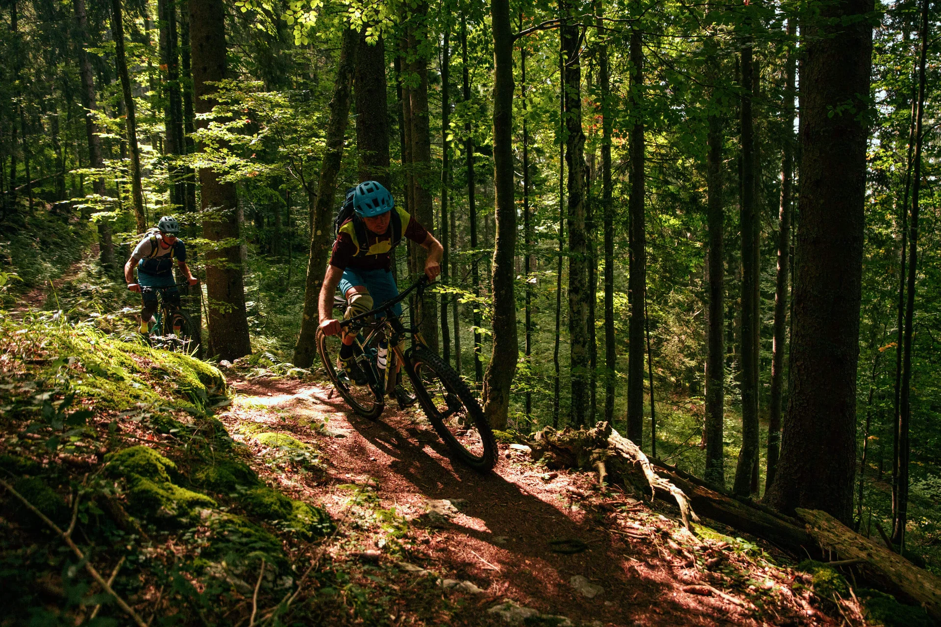 Zwei Mountainbiker fahren auf einem schmalen Waldpfad im Sonnenschein