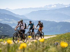 Vier Mountainbiker fahren auf einem Bergweg mit Alpenpanorama