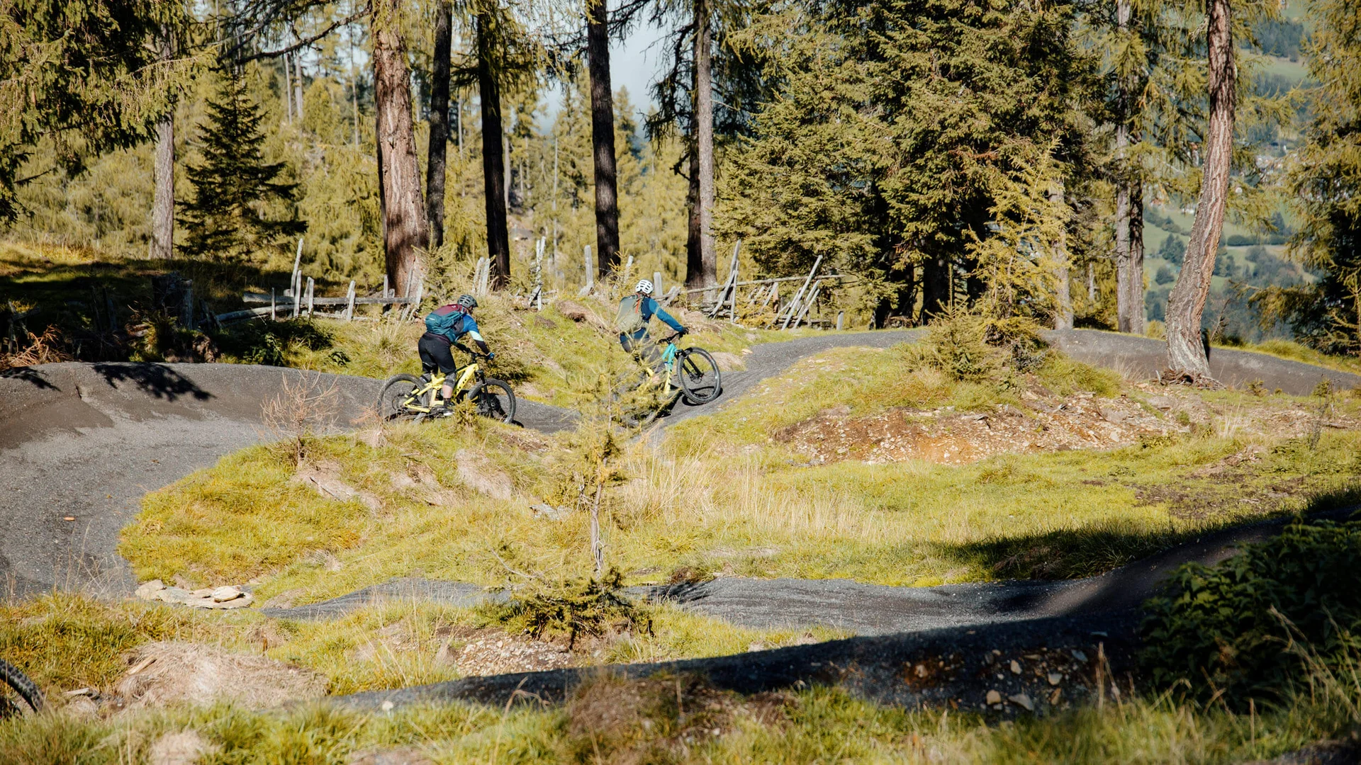 Two mountain bikers riding on a winding forest trail