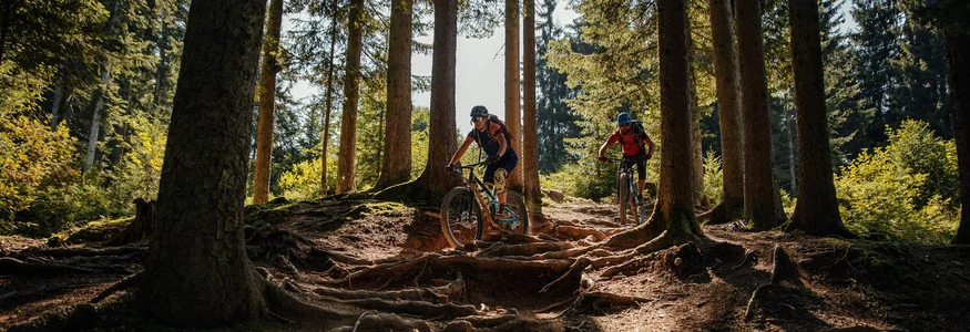 Mit Martina & Flo zum Mountainbiken im LifeSport Hotel Hechenmoos © David Karg Biker fahren im Wald auf wurzelreichem Pfad bei Sonnenlicht