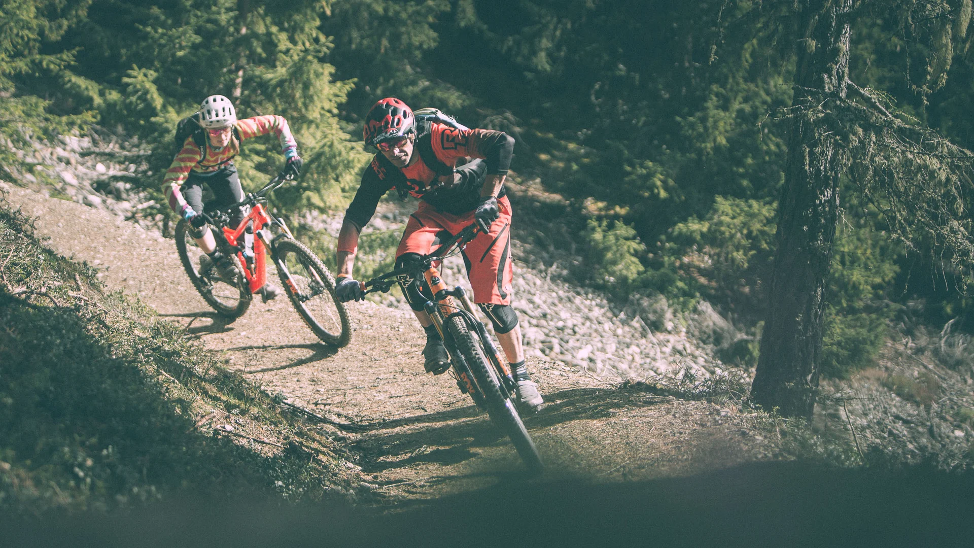 Zwei Mountainbiker fahren auf einem Waldweg bergab