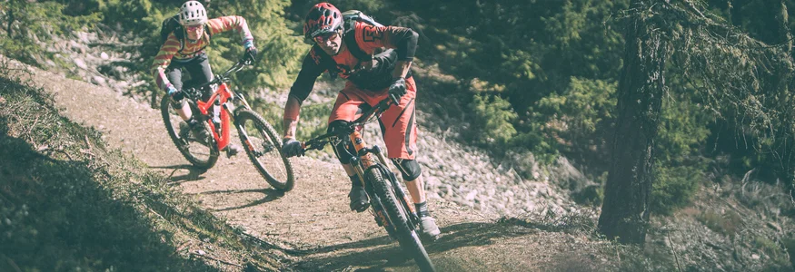 Zwei Mountainbiker fahren auf einem Waldweg bergab