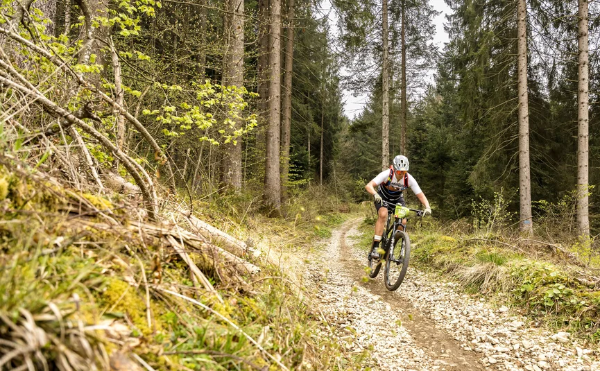 Mountain biker jumping on a forest trail surrounded by trees