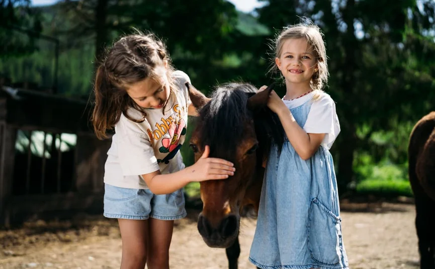 Twee meisjes aaien een pony op een zonnige boerderij