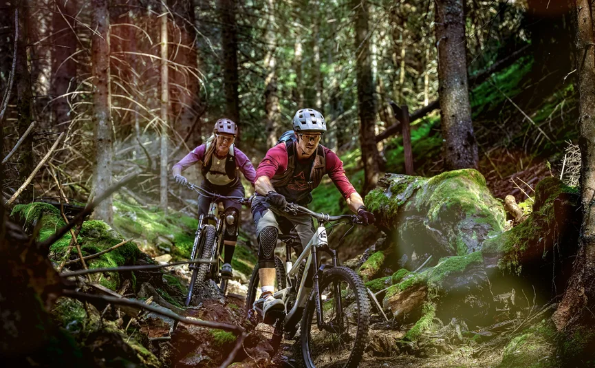Bike Boutique Hotel Lindenhof **** Two mountain bikers riding on a forest trail with moss-covered rocks
