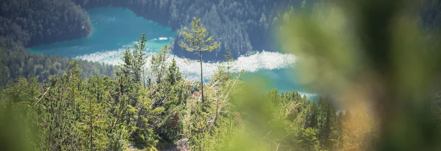 Zwei Mountainbiker fahren auf einem Bergpfad mit Blick auf einen See