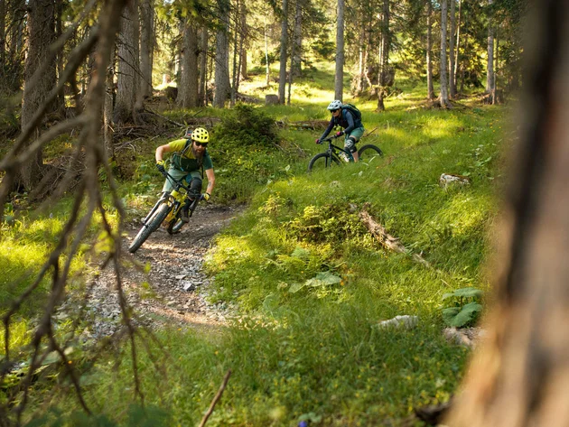 Zwei Mountainbiker fahren auf einem Waldweg bei Sonnenlicht
