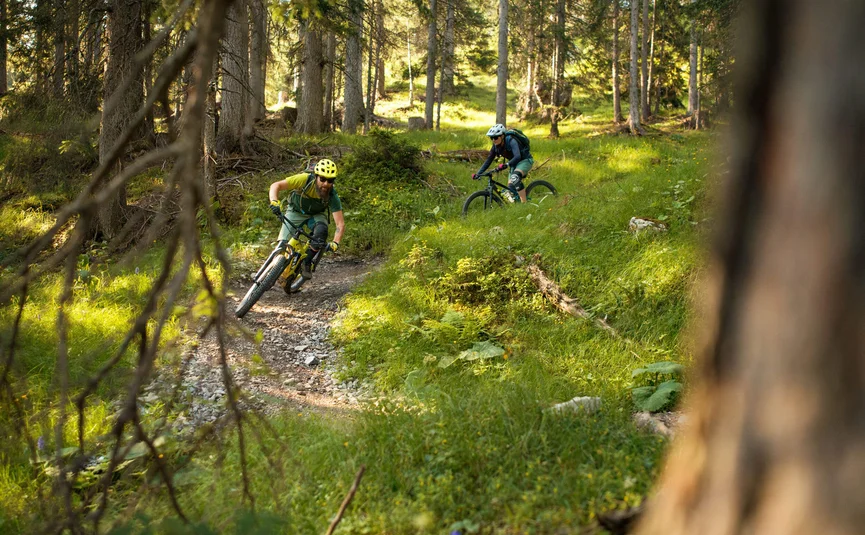 Zwei Mountainbiker fahren auf einem Waldweg bei Sonnenlicht