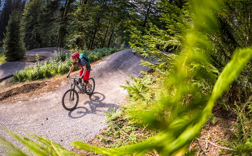 Mountainbiker op bosroute met heuvels en bomen