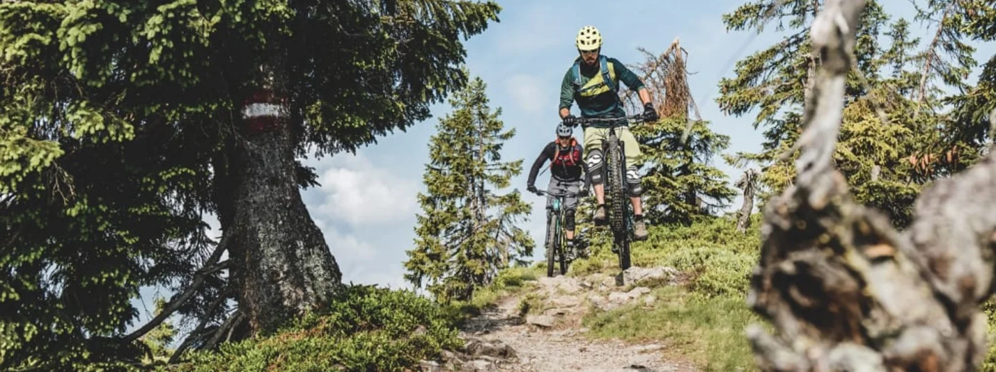 Bike Woche Flachau Twee mountainbikers rijden bergaf op een bospaadje