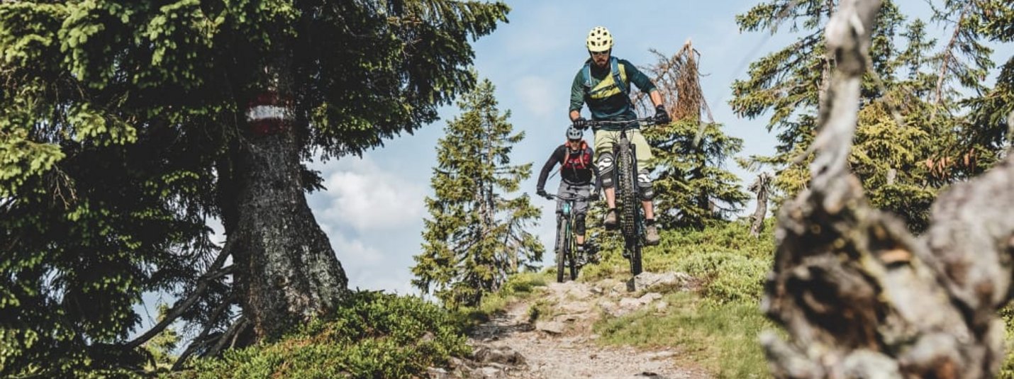 Zwei Mountainbiker fahren auf einem Waldweg bergab