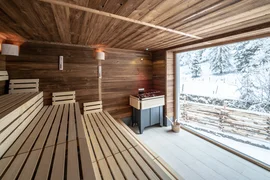 Wooden sauna with benches, sauna heater and snowy landscape outside the window