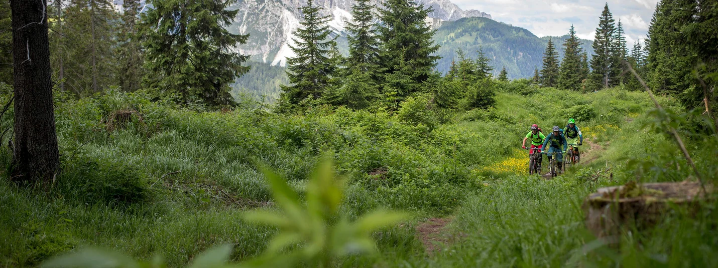 Drei Mountainbiker fahren durch grüne Alpenlandschaft mit Bergen im Hintergrund