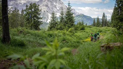 Drei Mountainbiker fahren durch grüne Alpenlandschaft mit Bergen im Hintergrund