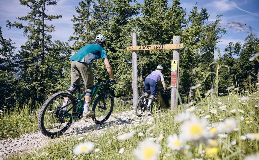 Two people mountain biking on a forest trail called Augst Trail
