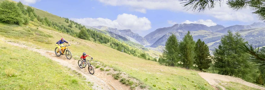 Zwei Mountainbiker fahren auf einem Weg durch grüne Berglandschaft mit blauem Himmel