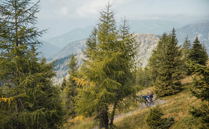Zwei Fahrradfahrer auf einem Bergpfad umgeben von Tannenbäumen