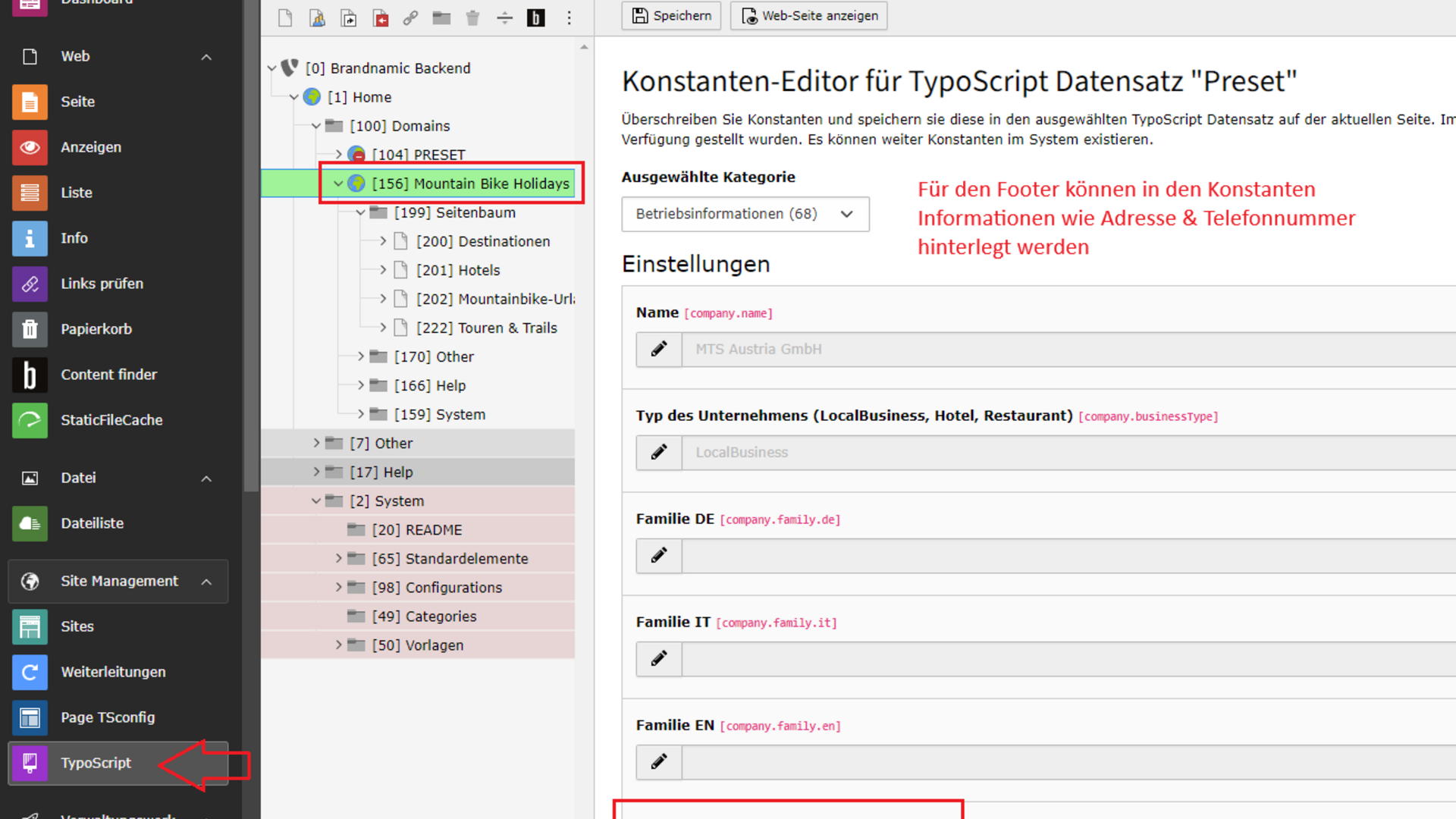 Footer Konstanten-Editor der TypoScript Webanwendung mit Mountain Bike Holidays Bereich