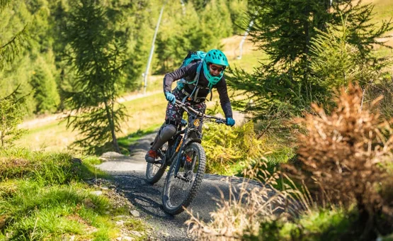 Flow Trail Special / 3 nights Mountain biker wearing helmet rides on narrow forest trail surrounded by trees