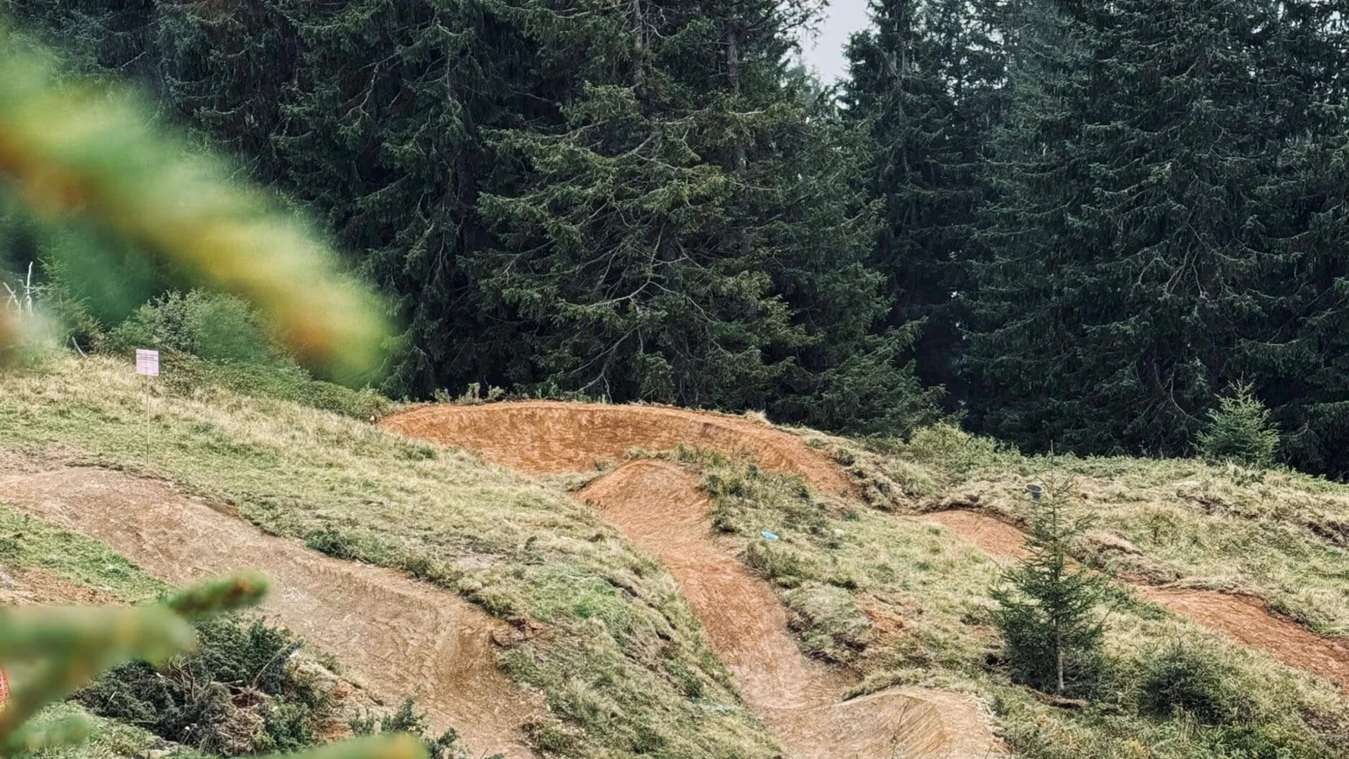 Neuer Flow im Brixental: Der Kirchberg Trail eröffnet © TVB Kitzbüheler Alpen - Brixental - Allegra Wald mit Tannen und gewundenem Weg in hügeliger Landschaft bei bewölktem Himmel