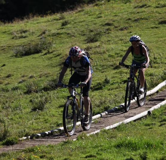 Zwei Personen fahren Mountainbike auf schmalem Waldweg im Grünen