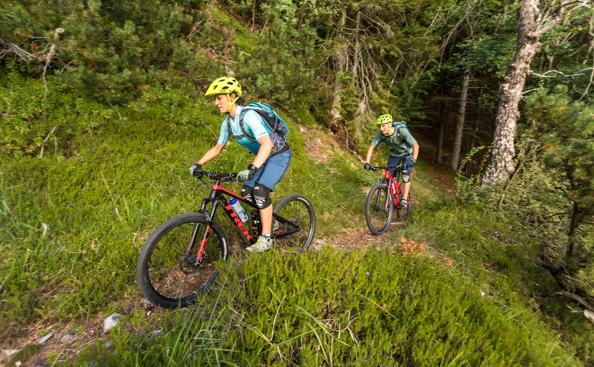 Two mountain bikers cycling on a forest trail through green vegetation