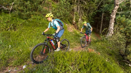 Two mountain bikers cycling on a forest trail through green vegetation